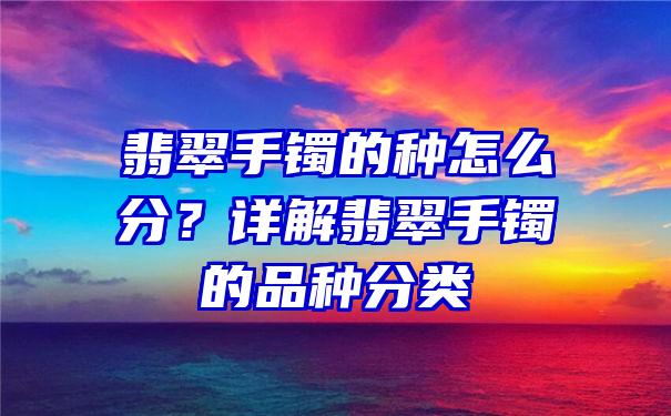 翡翠手镯的种怎么分？详解翡翠手镯的品种分类