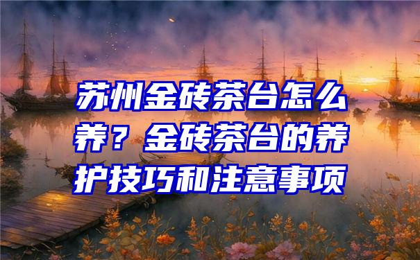 苏州金砖茶台怎么养？金砖茶台的养护技巧和注意事项