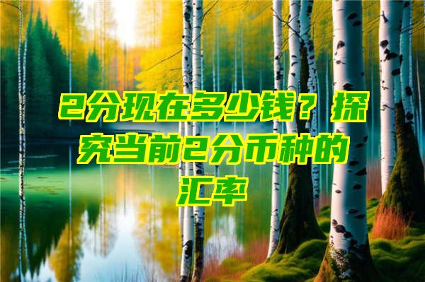 2分现在多少钱？探究当前2分币种的汇率