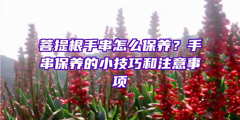 菩提根手串怎么保养？手串保养的小技巧和注意事项