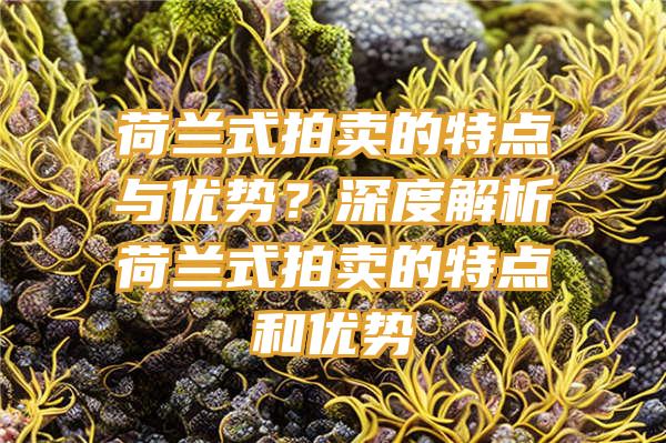 荷兰式拍卖的特点与优势？深度解析荷兰式拍卖的特点和优势