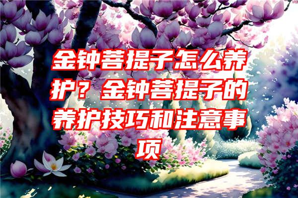 金钟菩提子怎么养护？金钟菩提子的养护技巧和注意事项