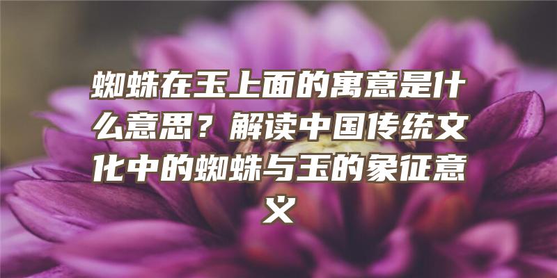 蜘蛛在玉上面的寓意是什么意思？解读中国传统文化中的蜘蛛与玉的象征意义