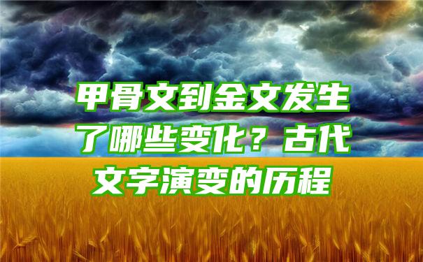 甲骨文到金文发生了哪些变化？古代文字演变的历程