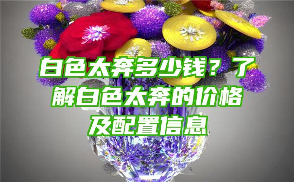 白色太奔多少钱？了解白色太奔的价格及配置信息