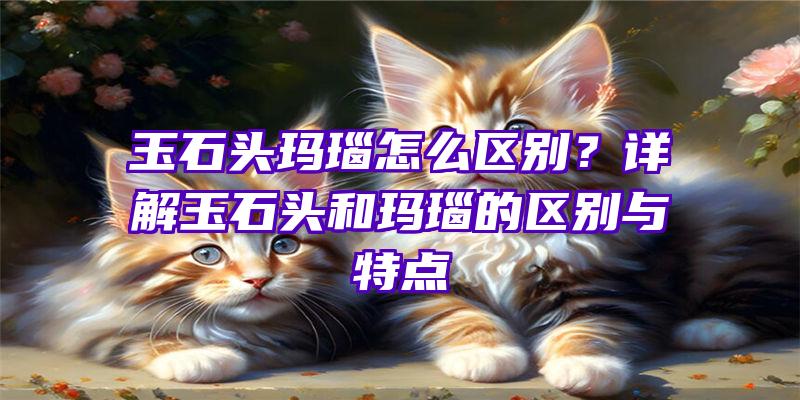 玉石头玛瑙怎么区别？详解玉石头和玛瑙的区别与特点