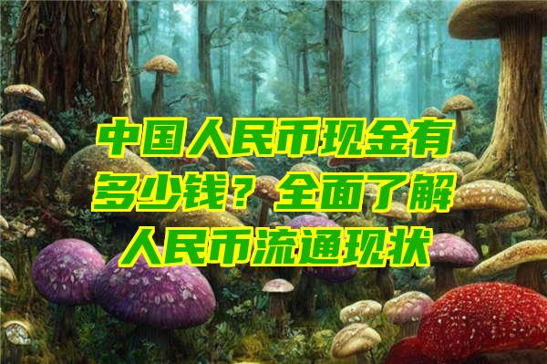 中国人民币现金有多少钱？全面了解人民币流通现状