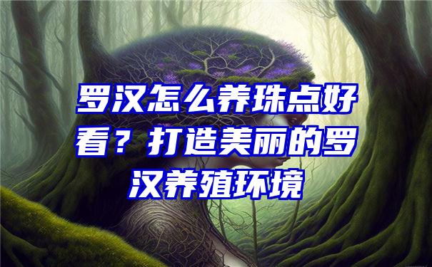 罗汉怎么养珠点好看？打造美丽的罗汉养殖环境