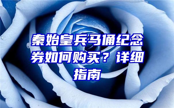 秦始皇兵马俑纪念券如何购买？详细指南