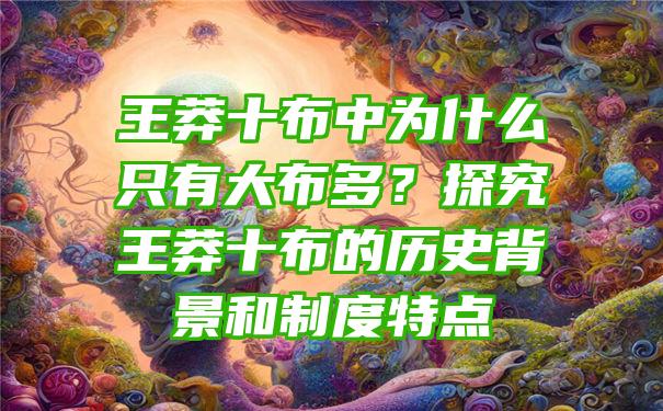 王莽十布中为什么只有大布多？探究王莽十布的历史背景和制度特点