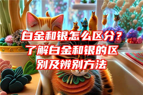 白金和银怎么区分？了解白金和银的区别及辨别方法