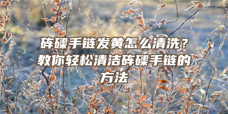 砗磲手链发黄怎么清洗？教你轻松清洁砗磲手链的方法