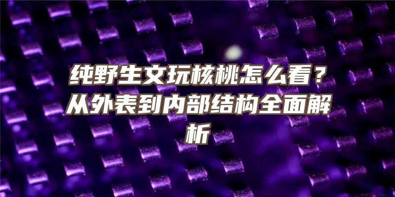 纯野生文玩核桃怎么看？从外表到内部结构全面解析