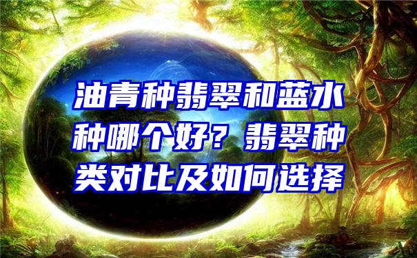 油青种翡翠和蓝水种哪个好？翡翠种类对比及如何选择