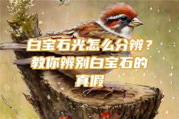 白宝石光怎么分辨？教你辨别白宝石的真假