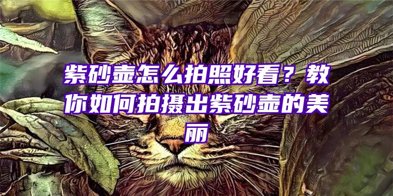 紫砂壶怎么拍照好看？教你如何拍摄出紫砂壶的美丽