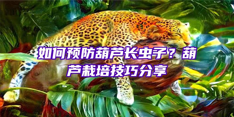 如何预防葫芦长虫子？葫芦栽培技巧分享