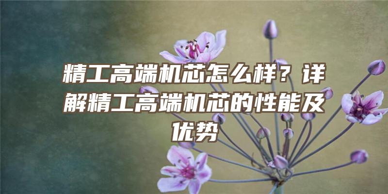 精工高端机芯怎么样？详解精工高端机芯的性能及优势