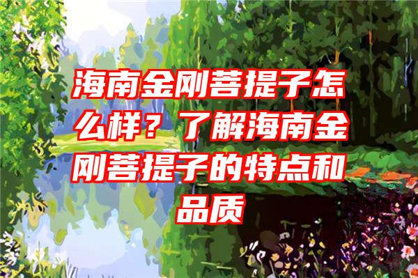 海南金刚菩提子怎么样？了解海南金刚菩提子的特点和品质