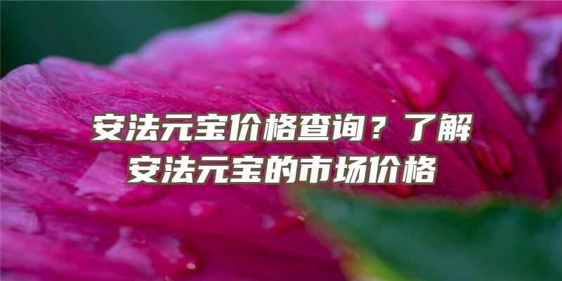 安法元宝价格查询？了解安法元宝的市场价格