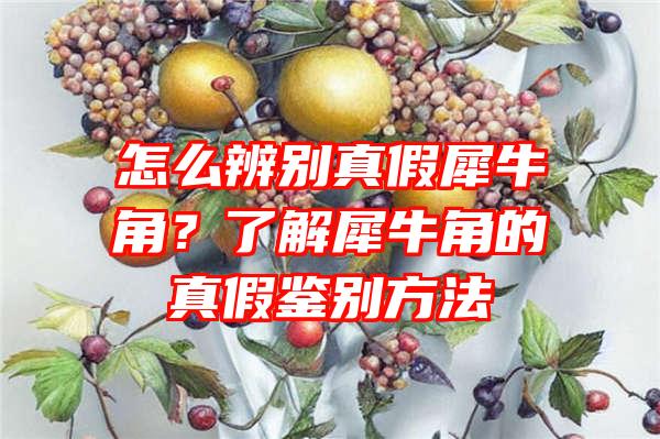 怎么辨别真假犀牛角？了解犀牛角的真假鉴别方法