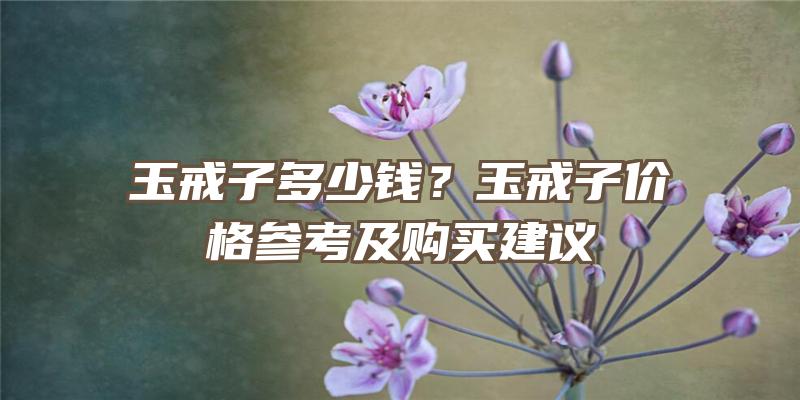 玉戒子多少钱？玉戒子价格参考及购买建议