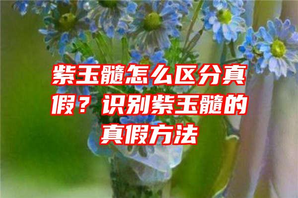 紫玉髓怎么区分真假？识别紫玉髓的真假方法