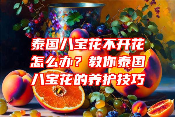 泰国八宝花不开花怎么办？教你泰国八宝花的养护技巧