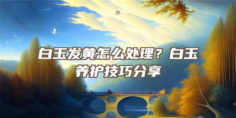 白玉发黄怎么处理？白玉养护技巧分享