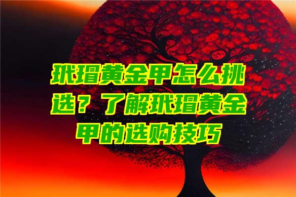 玳瑁黄金甲怎么挑选？了解玳瑁黄金甲的选购技巧