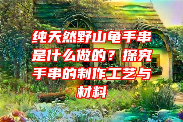 纯天然野山龟手串是什么做的？探究手串的制作工艺与材料