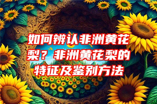 如何辨认非洲黄花梨？非洲黄花梨的特征及鉴别方法