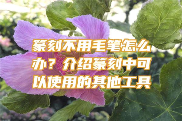 篆刻不用毛笔怎么办？介绍篆刻中可以使用的其他工具