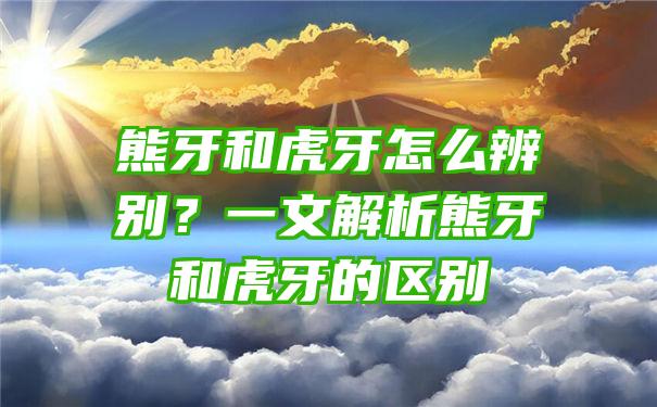 熊牙和虎牙怎么辨别？一文解析熊牙和虎牙的区别