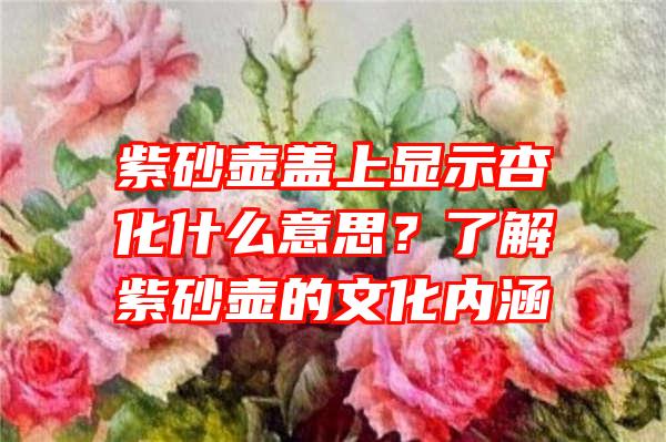 紫砂壶盖上显示杏化什么意思？了解紫砂壶的文化内涵