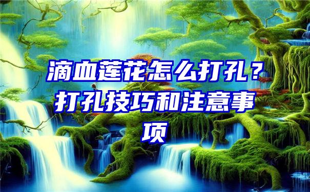 滴血莲花怎么打孔？打孔技巧和注意事项