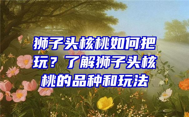 狮子头核桃如何把玩？了解狮子头核桃的品种和玩法