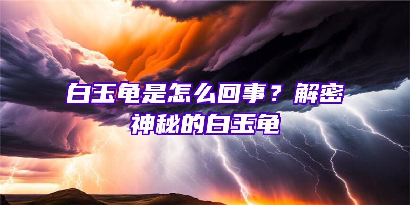 白玉龟是怎么回事？解密神秘的白玉龟