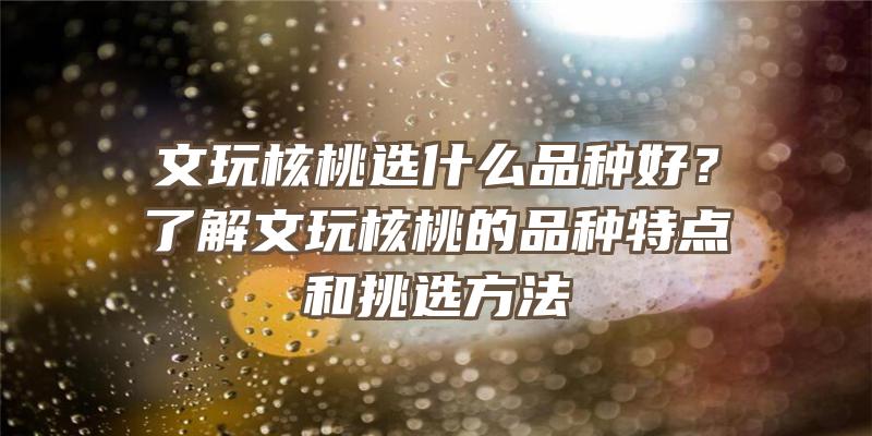 文玩核桃选什么品种好？了解文玩核桃的品种特点和挑选方法