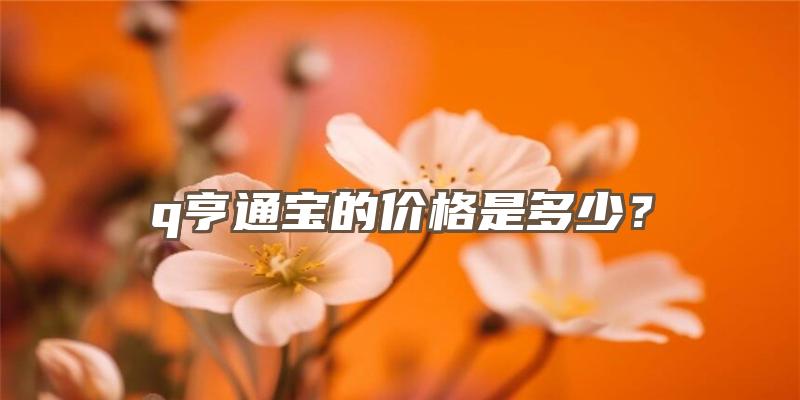 q亨通宝的价格是多少？