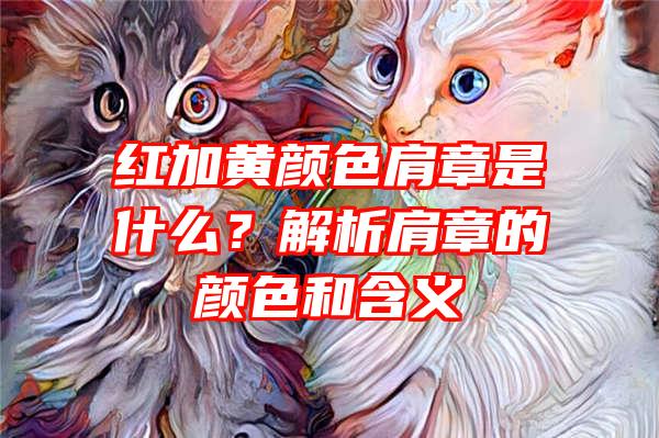 红加黄颜色肩章是什么？解析肩章的颜色和含义