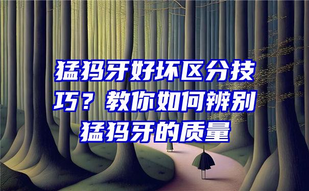 猛犸牙好坏区分技巧？教你如何辨别猛犸牙的质量