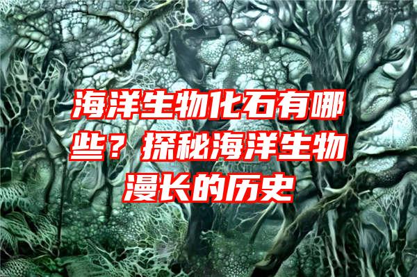 海洋生物化石有哪些？探秘海洋生物漫长的历史