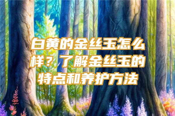 白黄的金丝玉怎么样？了解金丝玉的特点和养护方法