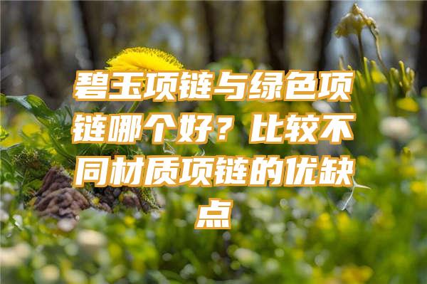 碧玉项链与绿色项链哪个好？比较不同材质项链的优缺点