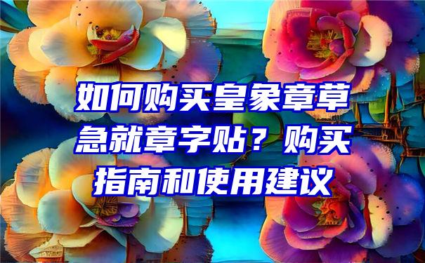 如何购买皇象章草急就章字贴？购买指南和使用建议