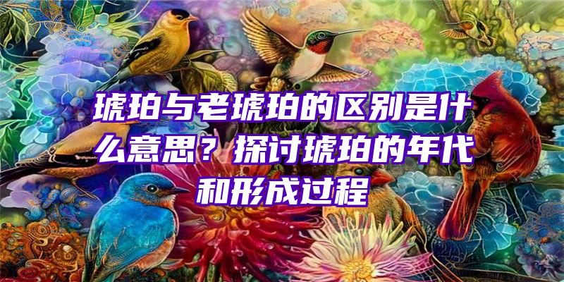 琥珀与老琥珀的区别是什么意思？探讨琥珀的年代和形成过程