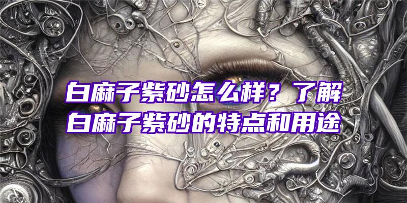 白麻子紫砂怎么样？了解白麻子紫砂的特点和用途