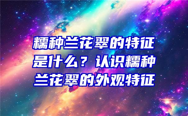 糯种兰花翠的特征是什么？认识糯种兰花翠的外观特征