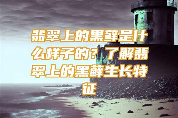 翡翠上的黑藓是什么样子的？了解翡翠上的黑藓生长特征